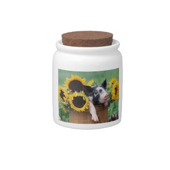 Baby Piglet Sunflowers Candy Jar by walkandbark at Zazzle