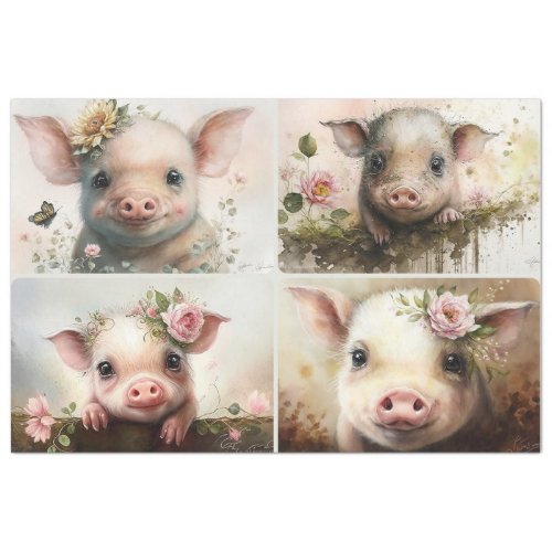 Baby Pigs  Tissue Paper