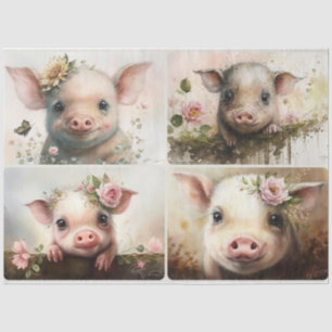 Baby Pigs Tissue Paper