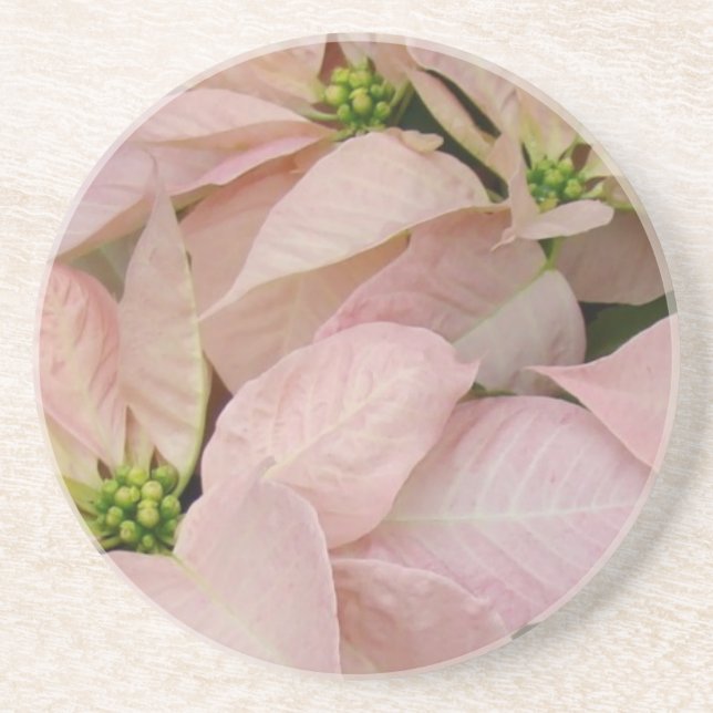 Baby Pink Poinsettia Drink Coaster (Front)