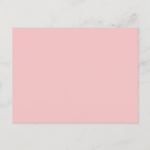 Baby Pink Solid Color Postcard