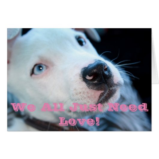Baby Pit Bull Puppy Cards (Front Horizontal)