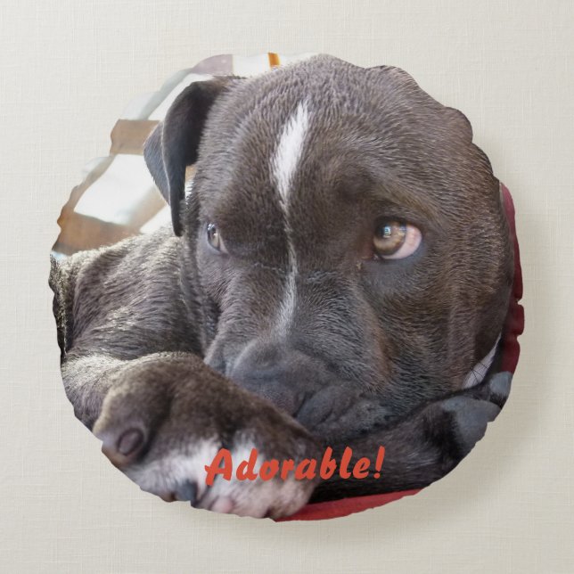 Baby Pitbull Puppy Round Pillow (Front)
