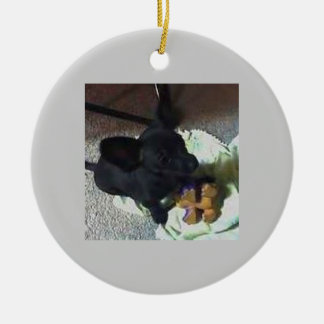 BABY POKEMON ORNAMENT