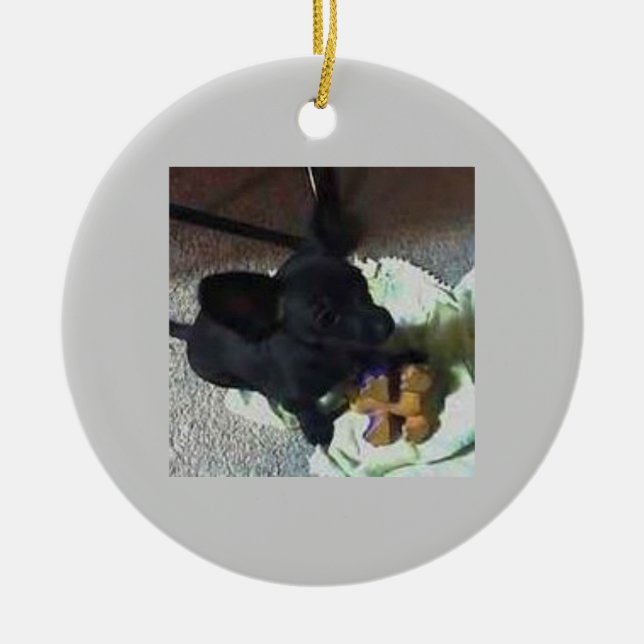 BABY POKEMON ORNAMENT (Front)