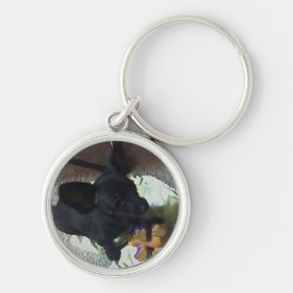 "BABY POKEMON" PREMIUM KEY CHAIN