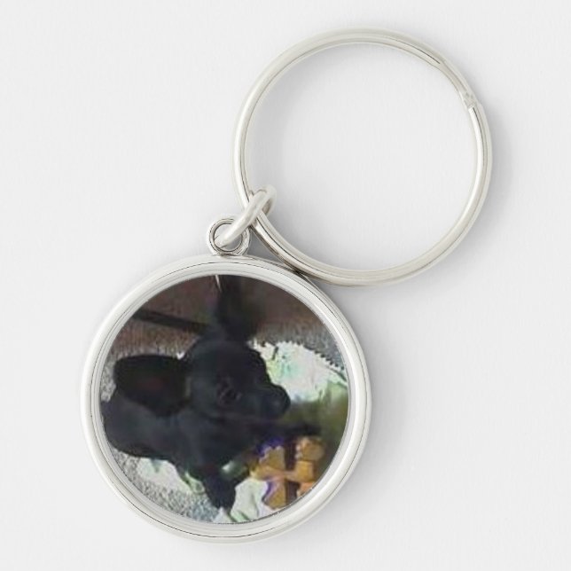 "BABY POKEMON" PREMIUM KEY CHAIN (Front)