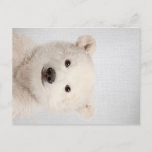Baby Polar Bear Colorful Holiday Postcard