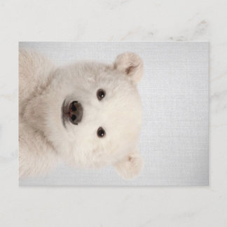 Baby Polar Bear Colorful Holiday Postcard