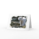 Baby Polar Bear Greeting Card