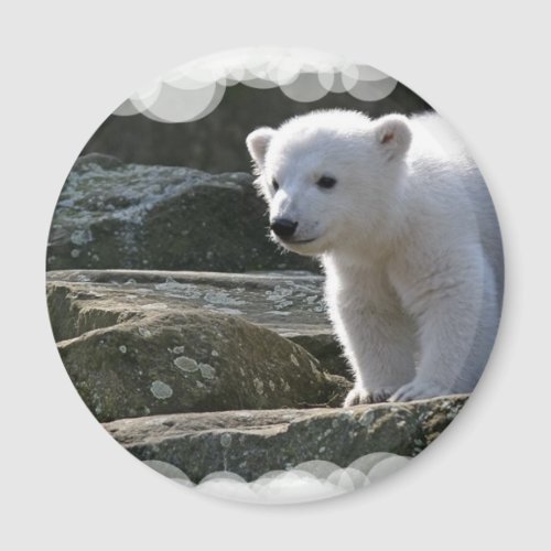 Baby Polar Bear Magnet