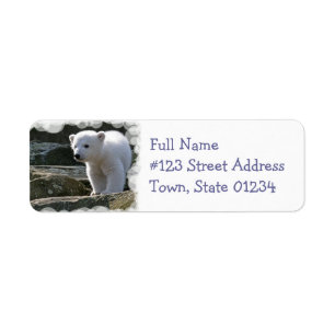 Baby Polar Bear Return Address Label
