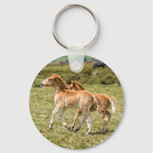 Baby ponies Dartmoor National Park Devon UK Keychain