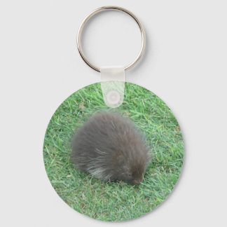 Baby Porcupine Keychain