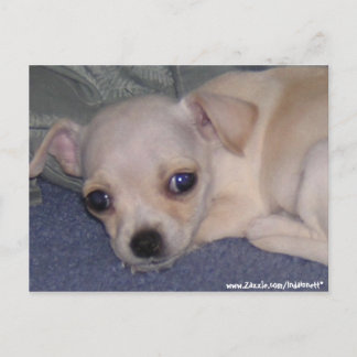 Baby Postcard. Postcard