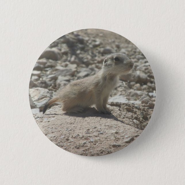 Baby Prairie Dog Button (Front)