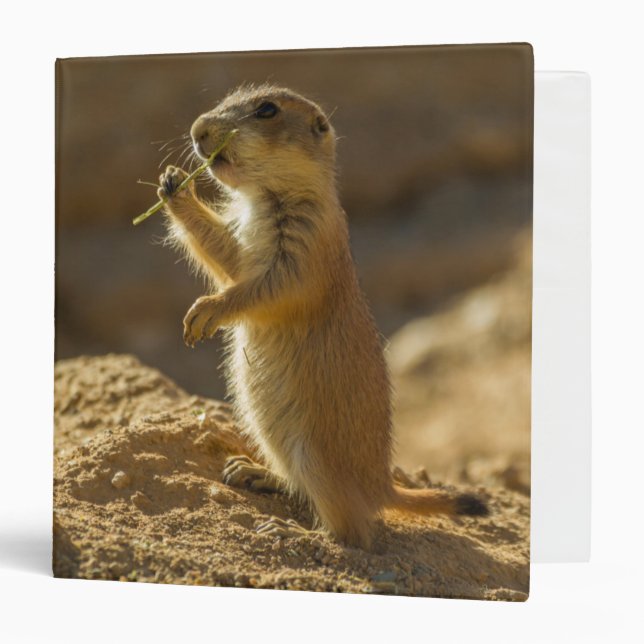 Baby prairie dog eating, Arizona Binder (Front/Inside)