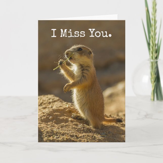 Baby prairie dog eating, Arizona Card (Front)