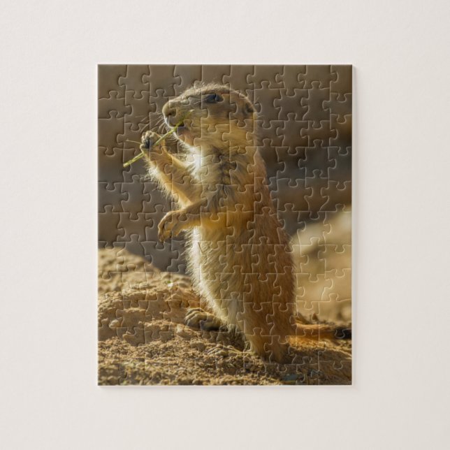 Baby prairie dog eating, Arizona Jigsaw Puzzle (Vertical)