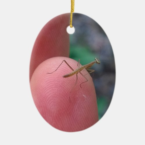 Baby Praying Mantis on Finger Ceramic Ornament