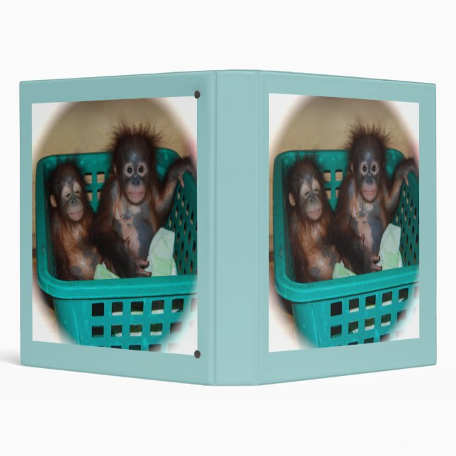 Baby Primate Sleepover 3 Ring Binder (Background)