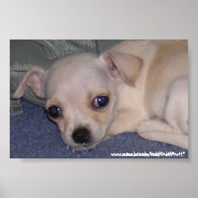 Baby Print. Poster (Front)