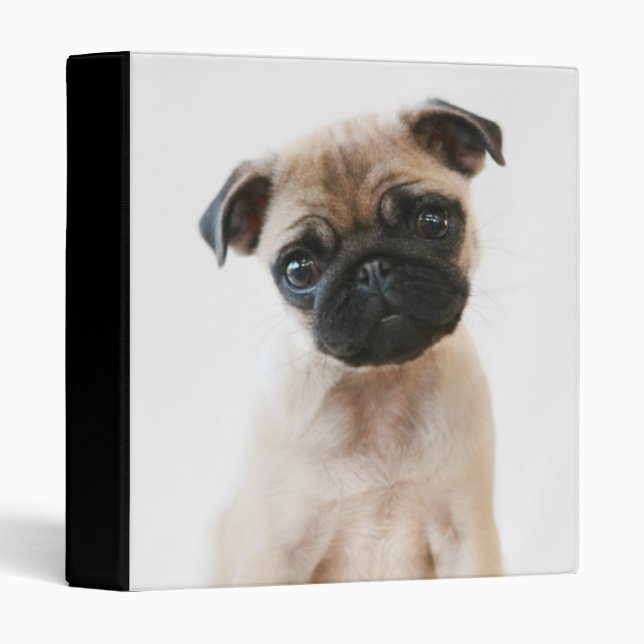 Baby Pug Portrait 3 Ring Binder (Front/Spine)