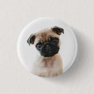 Baby Pug Portrait Button