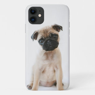 Baby Pug Portrait iPhone 11 Case