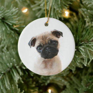 Baby Pug Portrait Ceramic Ornament