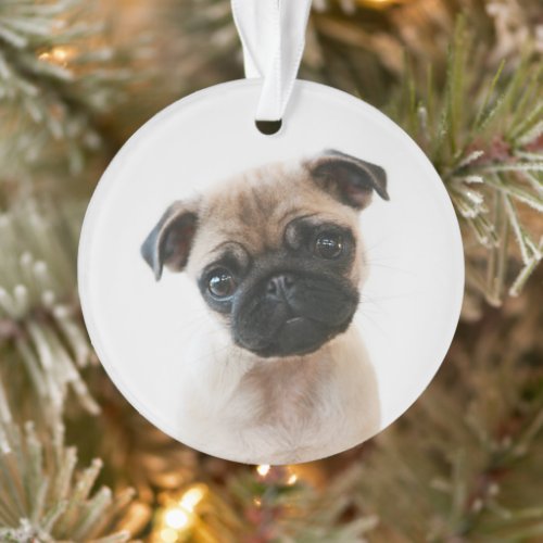 Baby Pug Portrait Ornament