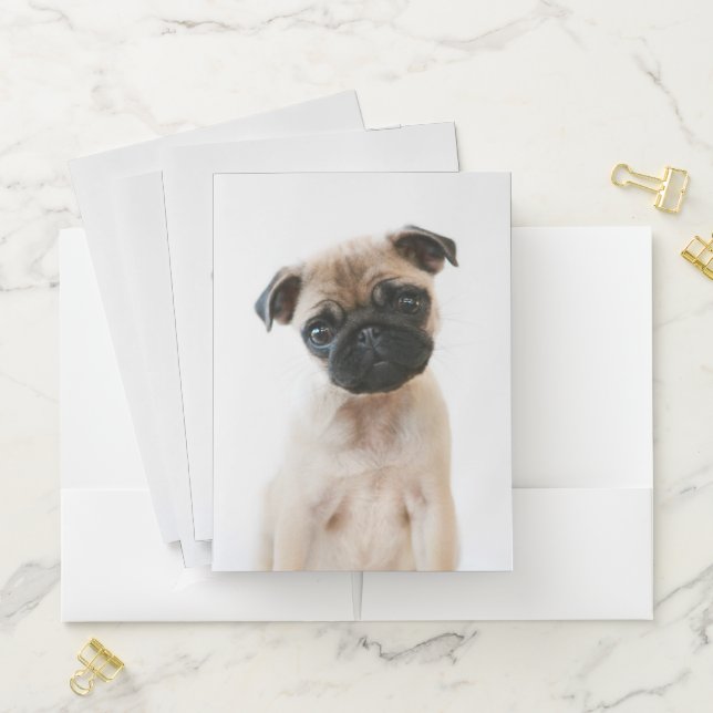 Baby Pug Portrait Pocket Folder (In Situ)