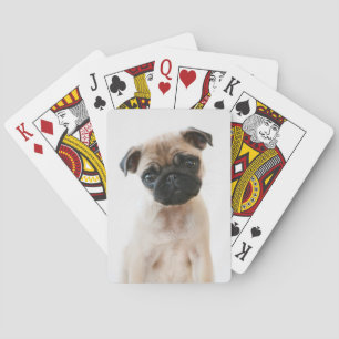 Baby Pug Portrait Poker Cards