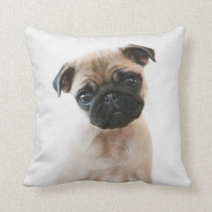 Baby Pug Portrait Throw Pillow