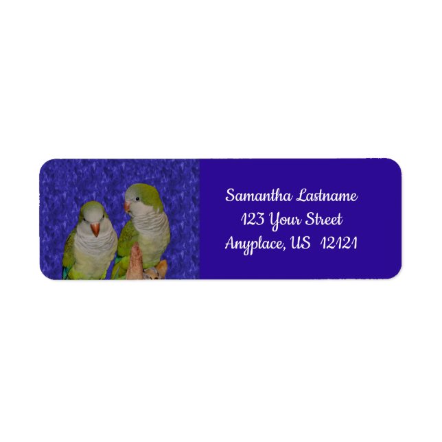 Baby Quaker Parrot Pair Animal Address Label (Front)