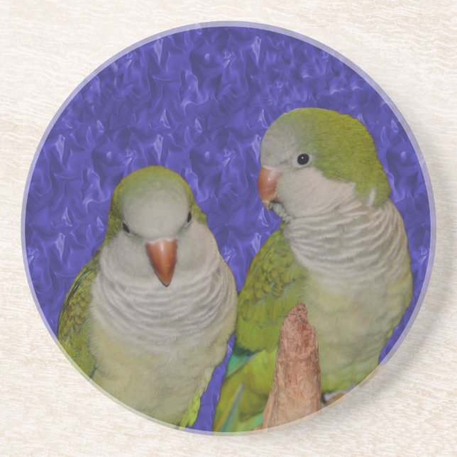 Baby Quaker Parrots Animal Coaster (Front)