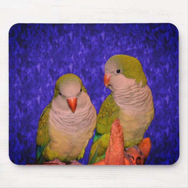 Baby Quaker Parrots Animal  Mouse Pad (Front)