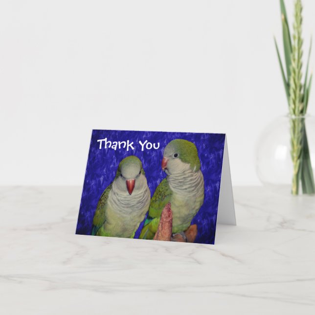Baby Quaker Parrots Animal Thank You Card (Front)