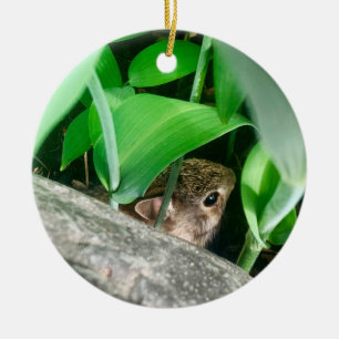 Baby Rabbit Ceramic Ornament