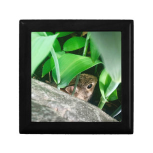 Baby Rabbit Wooden Jewelry Keepsake Box