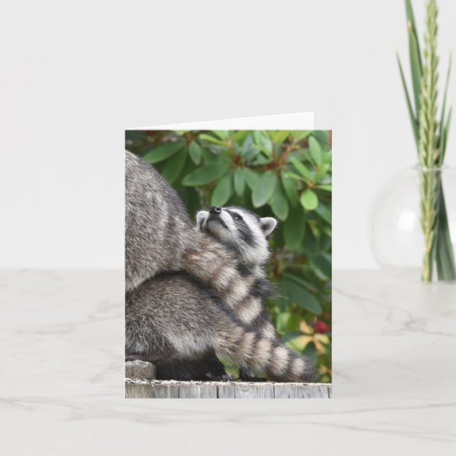 Baby Raccoon Card (Front)