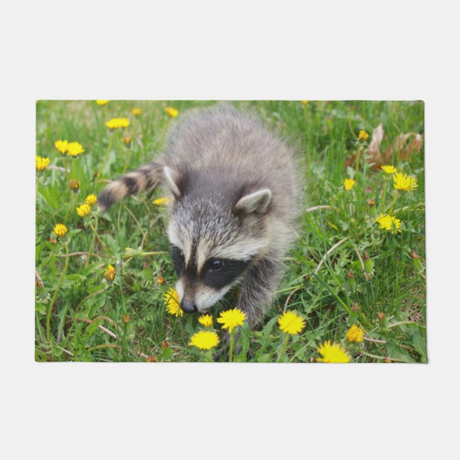 Baby raccoon door mat (Front)