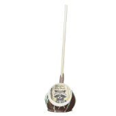 Baby Raccoon Gender Neutral Baby Shower Cake Pops (Front)