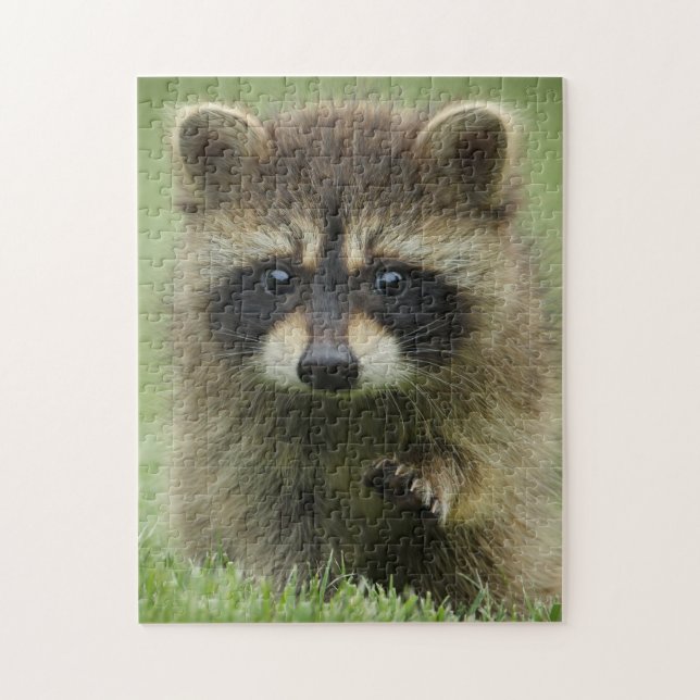 Baby Raccoon Jigsaw Puzzle (Vertical)