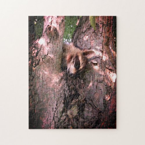 Baby Raccoon Jigsaw Puzzle