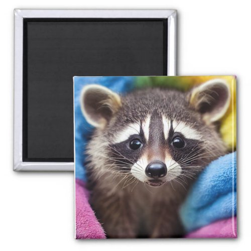 Baby Raccoon Magnet _ Rainbow Critters
