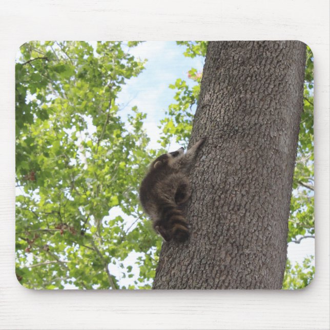 Baby Raccoon Mouse Pad (Front)
