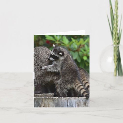 Baby Raccoons and Mom Card