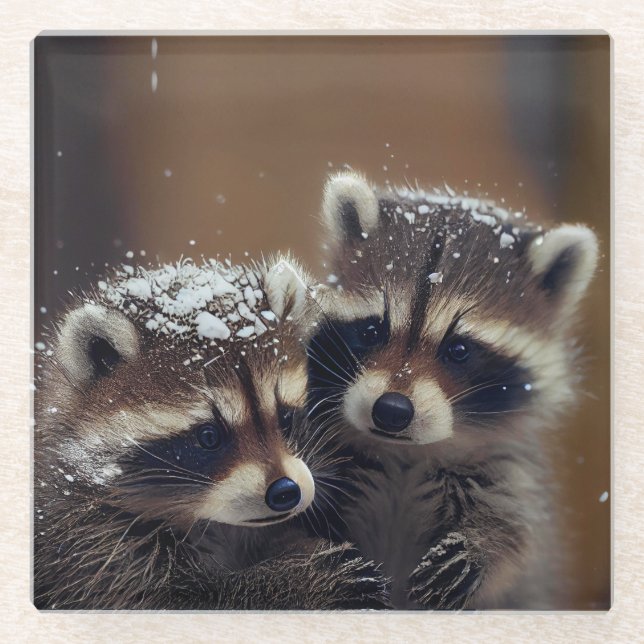 Baby Raccoons Huddle in Falling Snow Glass Coaster (Front)