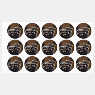 Baby Raccoons Huddle in Falling Snow Labels